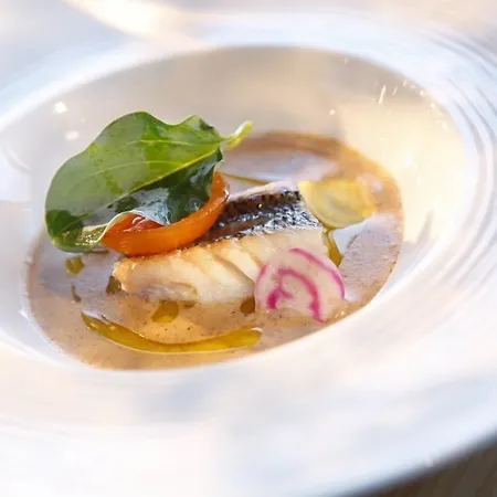 Hotel Domaine Riberach - Restaurant Etoile - - Piscine Naturelle - Vignoble Bio Belesta (Pyrenees-Orientales)