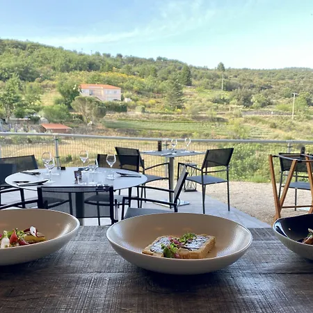 Domaine Riberach - 4 - Restaurant Gastronomique - - Piscine - Vignoble Hotel Bélesta