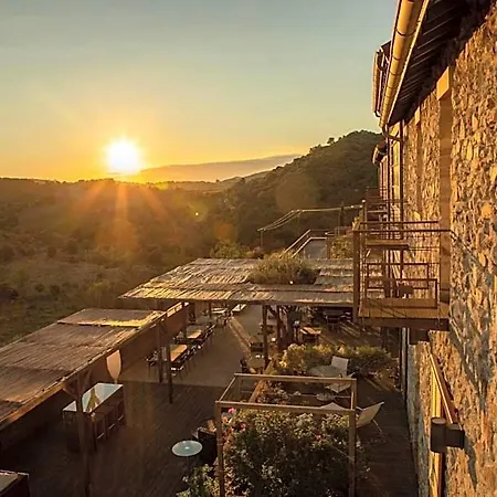 Hotel Domaine Riberach - 4 - Restaurant Gastronomique - - Piscine - Vignoble 4*