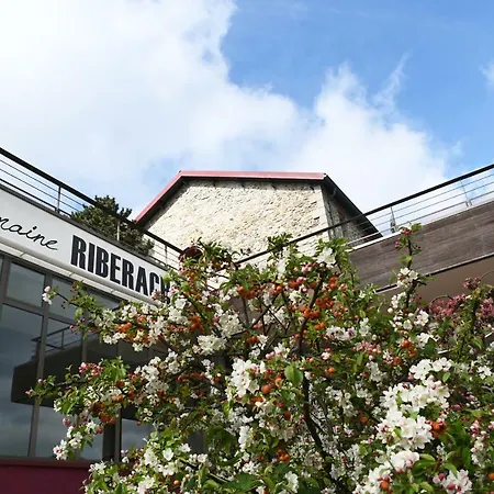 Domaine Riberach - Restaurant Etoile - - Piscine Naturelle - Vignoble Bio Hotel Bélesta