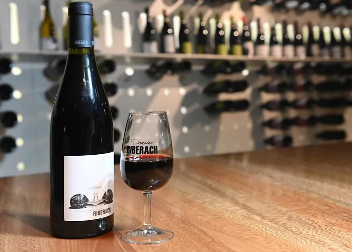 Hotel Domaine Riberach - Restaurant Etoile - - Piscine Naturelle - Vignoble Bio 4*