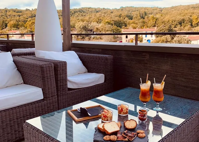 Domaine Riberach - Restaurant Etoile - - Piscine Naturelle - Vignoble Bio 4* Bélesta