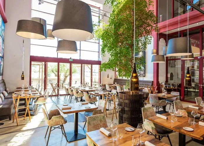 Domaine Riberach - Restaurant Etoile - - Piscine Naturelle - Vignoble Bio