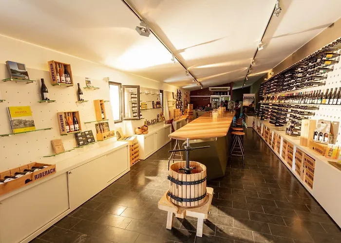 Domaine Riberach - Restaurant Gastronomique - Spa - Piscine Naturelle - Vignoble Bio מלון