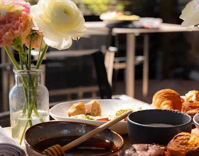 Domaine Riberach - Restaurant Gastronomique - Spa - Piscine Naturelle - Vignoble Bio 4* Bélesta