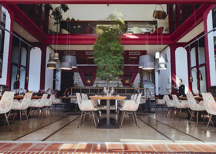 Domaine Riberach - Restaurant Etoile - - Piscine Naturelle - Vignoble Bio 4* Bélesta