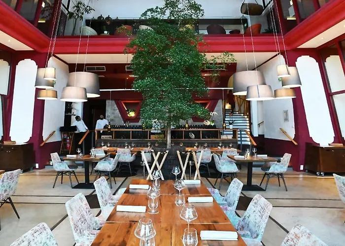 Domaine Riberach - Restaurant Etoile - - Piscine Naturelle - Vignoble Bio Hotel Belesta (Pyrenees-Orientales)