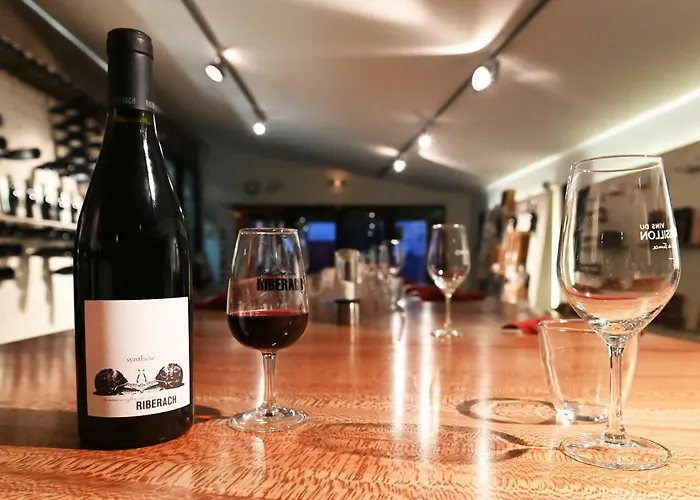 Domaine Riberach - Restaurant Etoile - - Piscine Naturelle - Vignoble Bio