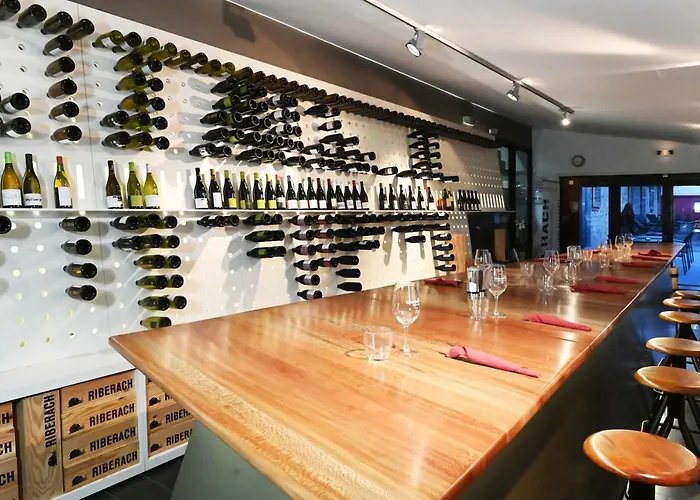 Domaine Riberach - Restaurant Etoile - - Piscine Naturelle - Vignoble Bio